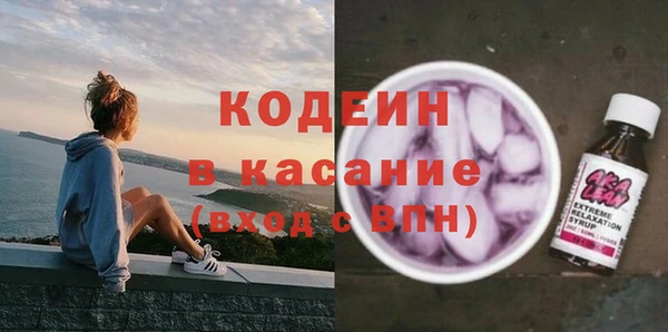 сатива Коряжма