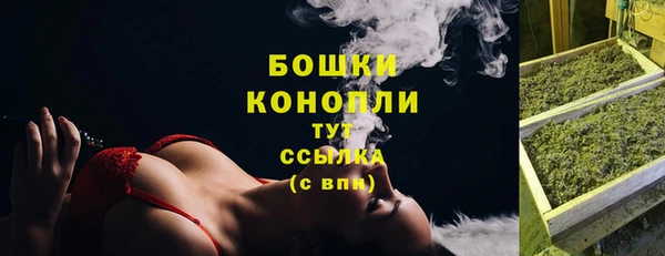 сатива Коряжма