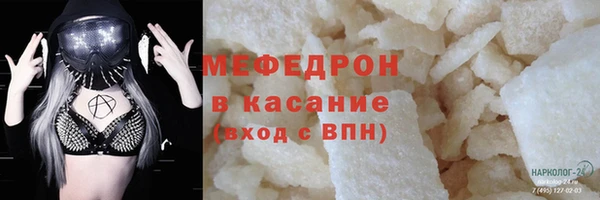 сатива Коряжма