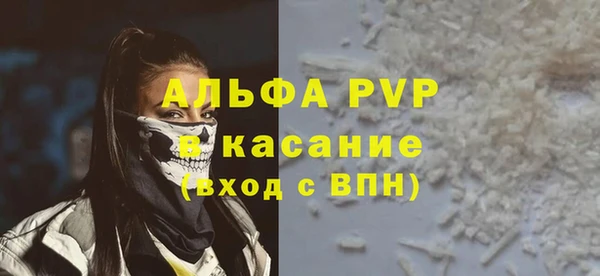 сатива Коряжма