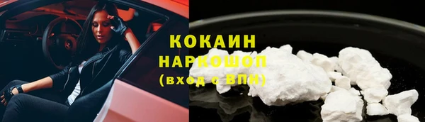 сатива Коряжма