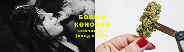 сатива Коряжма