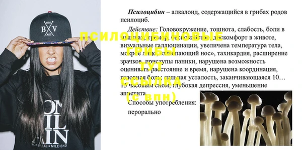 сатива Коряжма