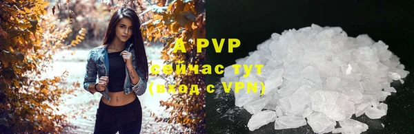 apvp Гусиноозёрск