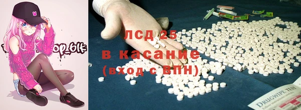 сатива Коряжма