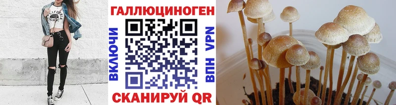 Псилоцибиновые грибы прущие грибы  Ленинск-Кузнецкий 