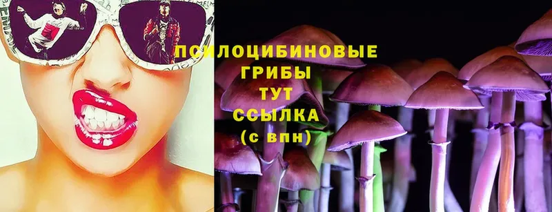 Псилоцибиновые грибы Magic Shrooms  Ленинск-Кузнецкий 