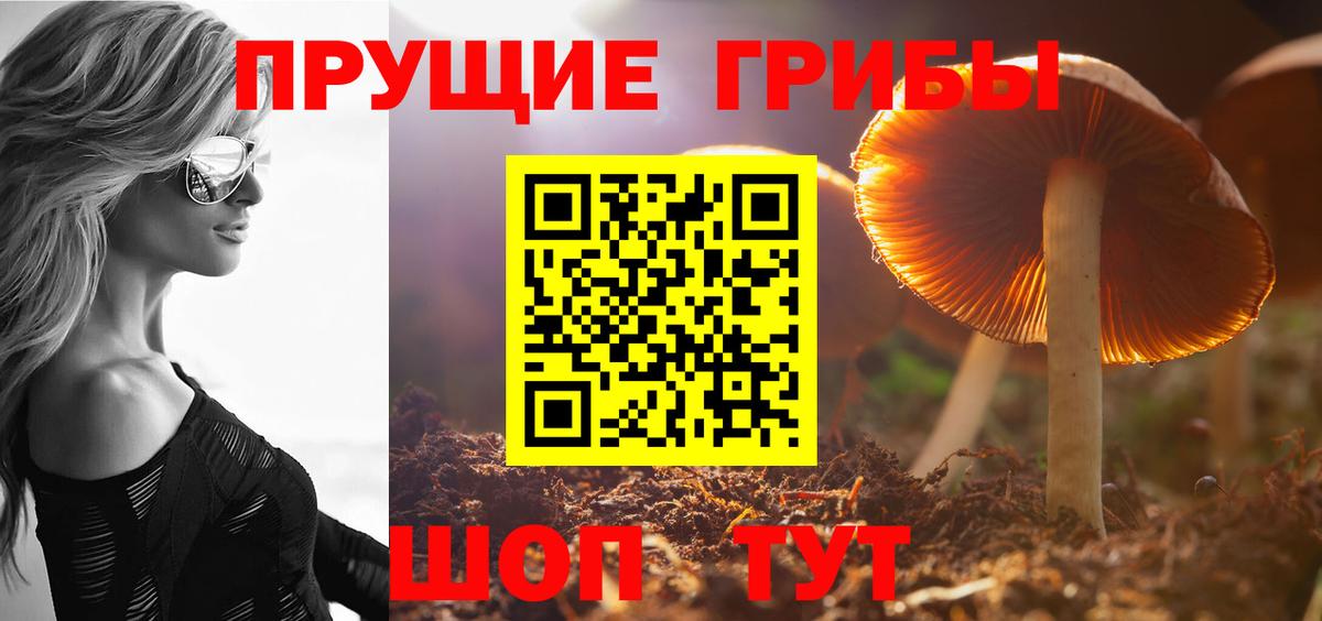 продажа наркотиков  Вход с VPN  Ленинск-Кузнецкий  Псилоцибиновые грибы прущие грибы 