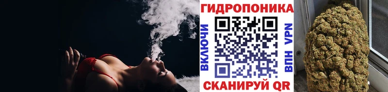 Шишки марихуана семена  купить наркотик  площадка состав  Ленинск-Кузнецкий 